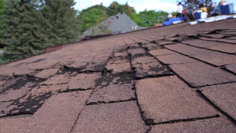 Best Storm Damage Roof Repair  in Burton, SC