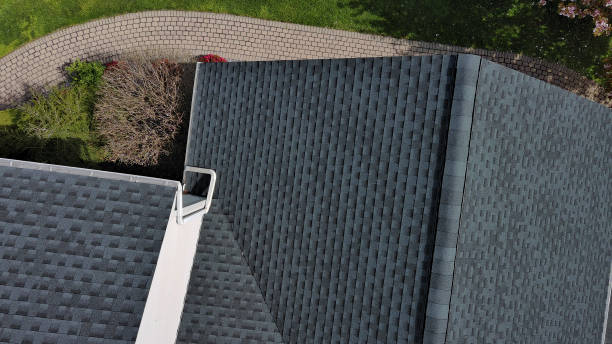 Best Roof Maintenance and Cleaning  in Burton, SC